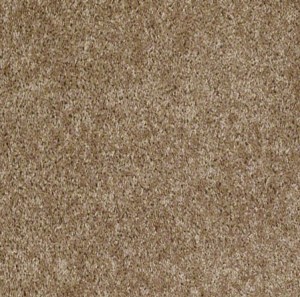 Eco Beauty Hiking Trail